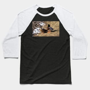 Male and Female Mallard Ducks Baseball T-Shirt